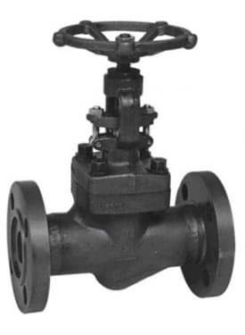 Forged globe valve